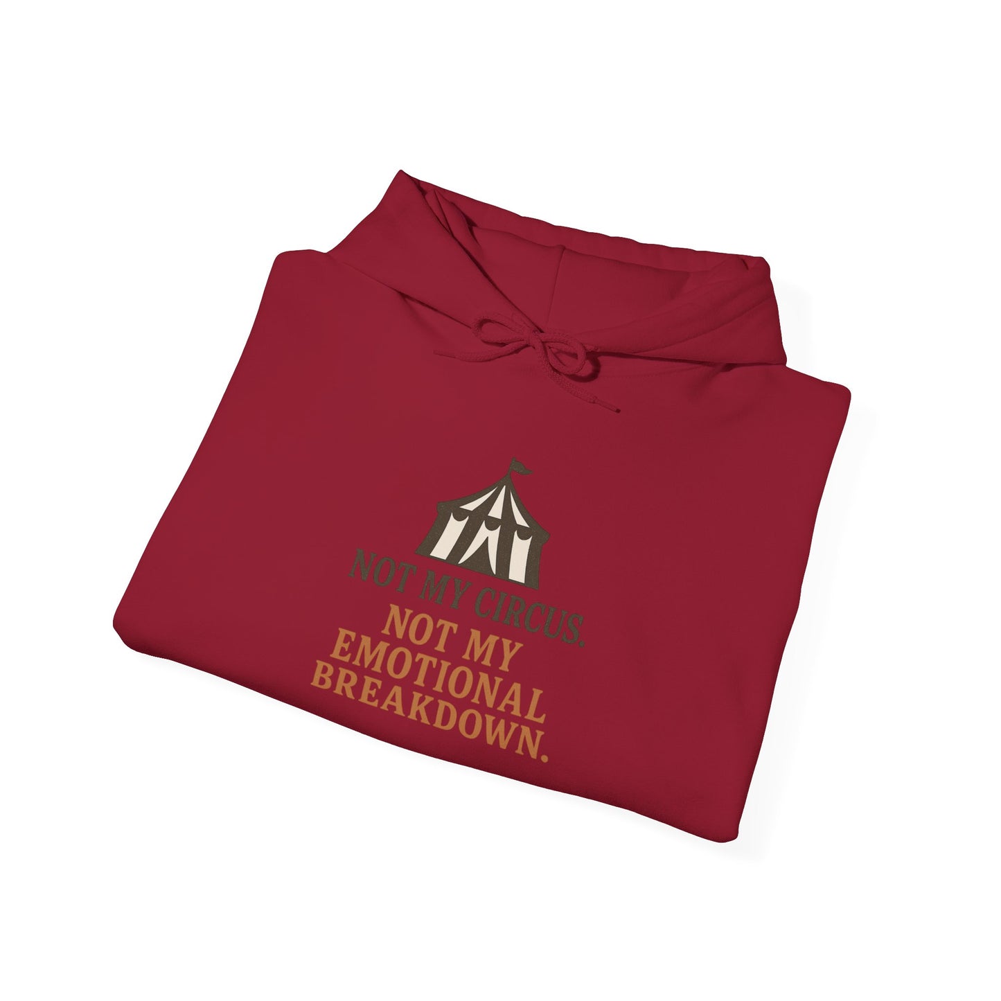 Not My Circus. Not My Emotional Breakdown – Hoodie