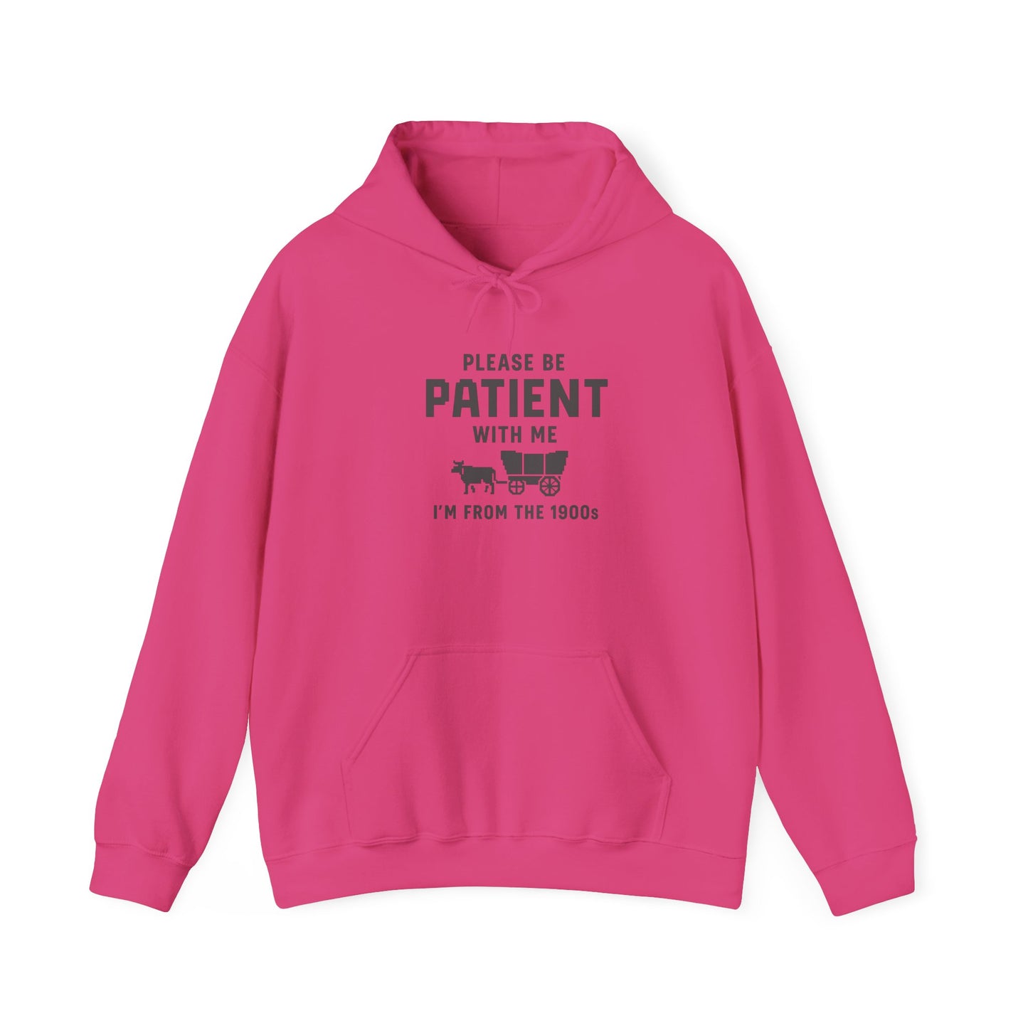Please Be Patient With Me – I’m From the 1900s Hoodie