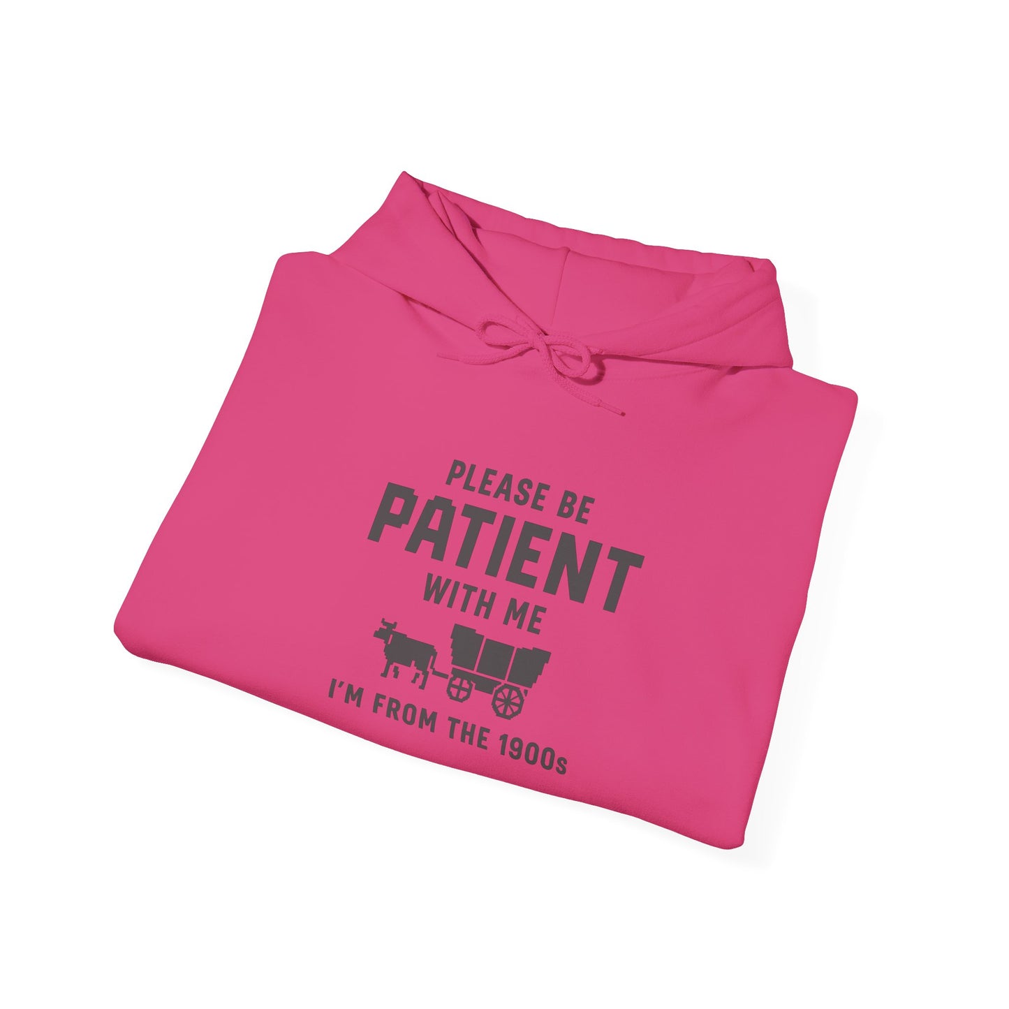 Please Be Patient With Me – I’m From the 1900s Hoodie