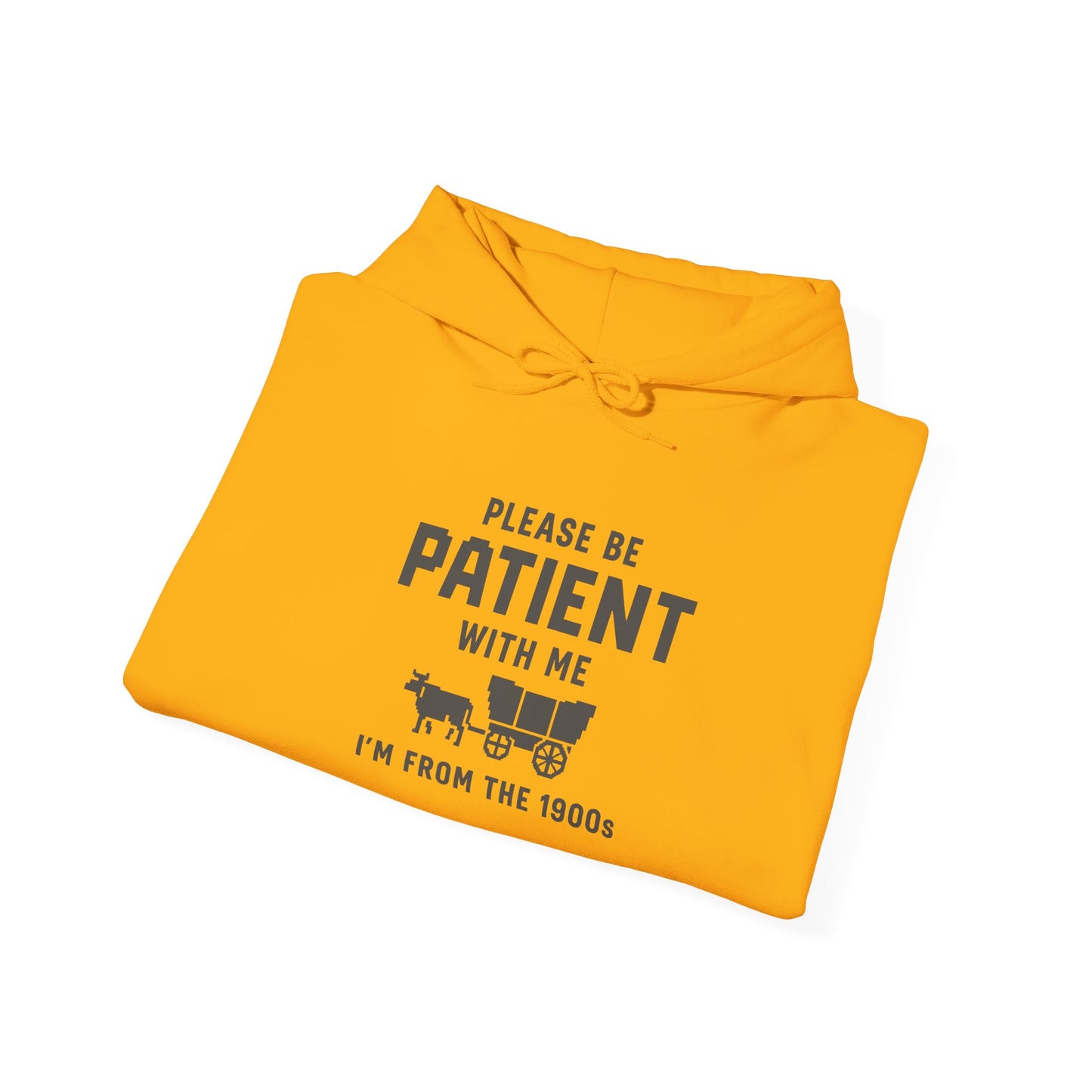 Please Be Patient With Me – I’m From the 1900s Hoodie