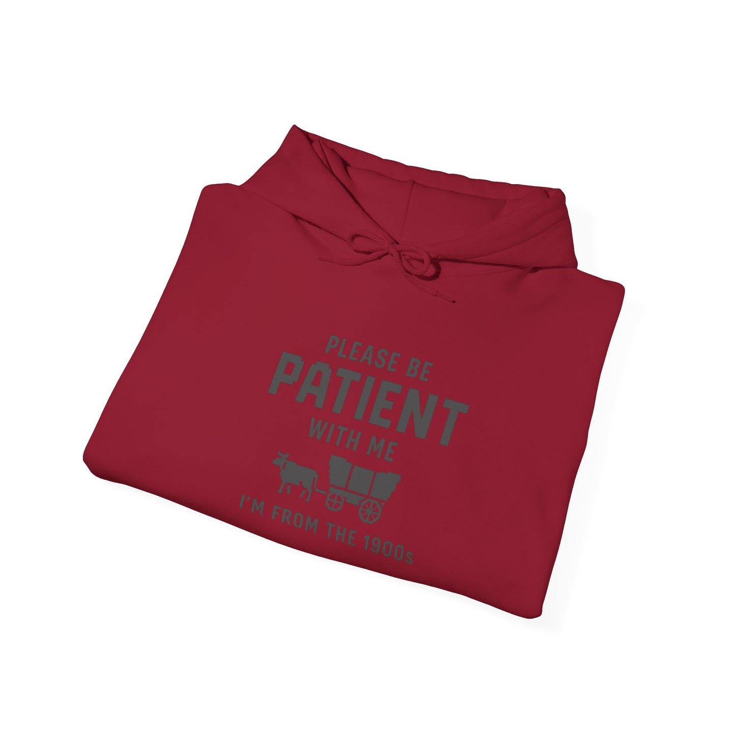 Please Be Patient With Me – I’m From the 1900s Hoodie