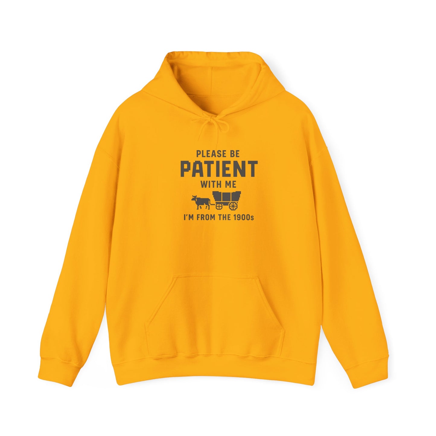 Please Be Patient With Me – I’m From the 1900s Hoodie